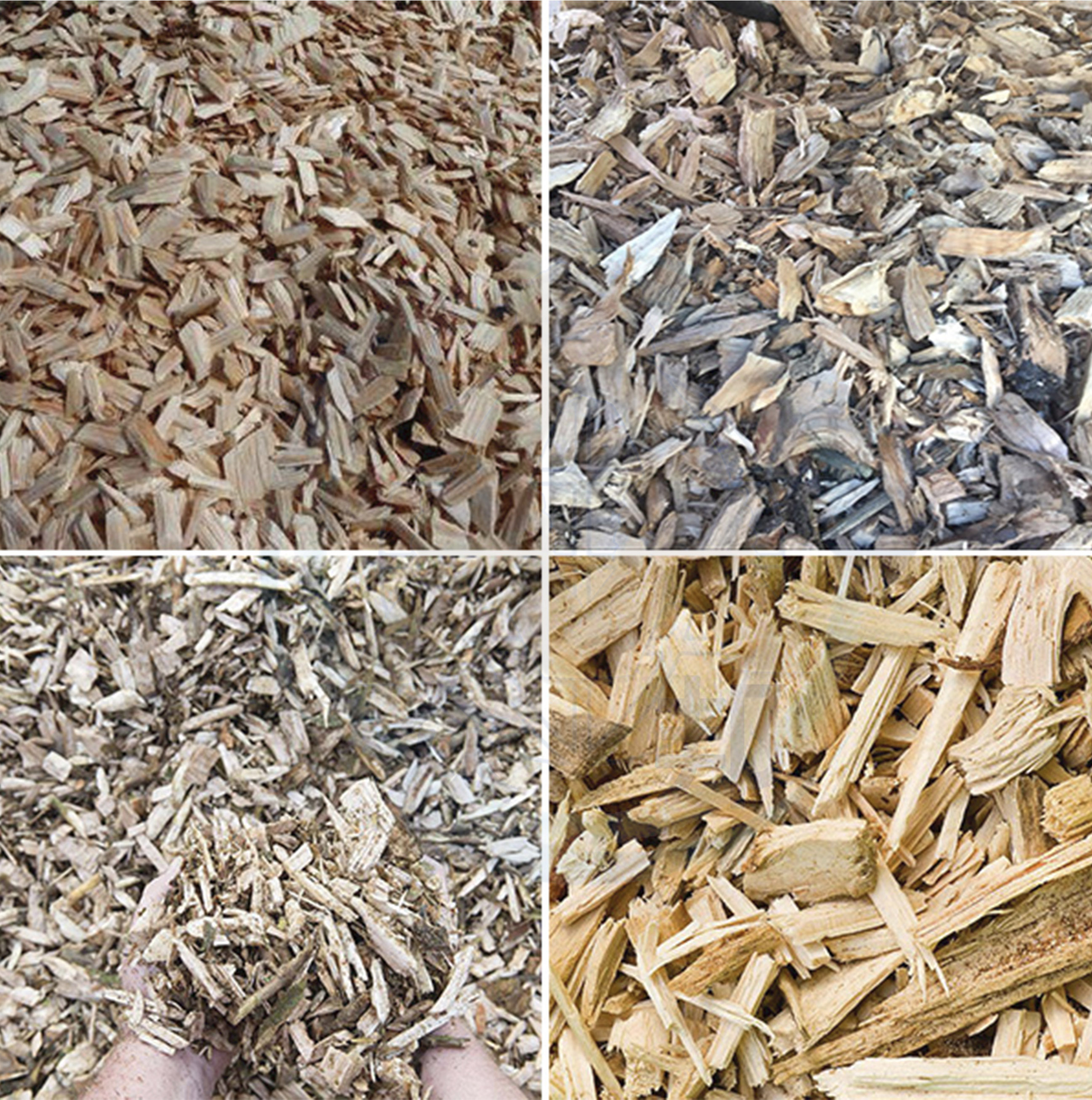 圓盤式樹根破碎機(jī)破碎效果